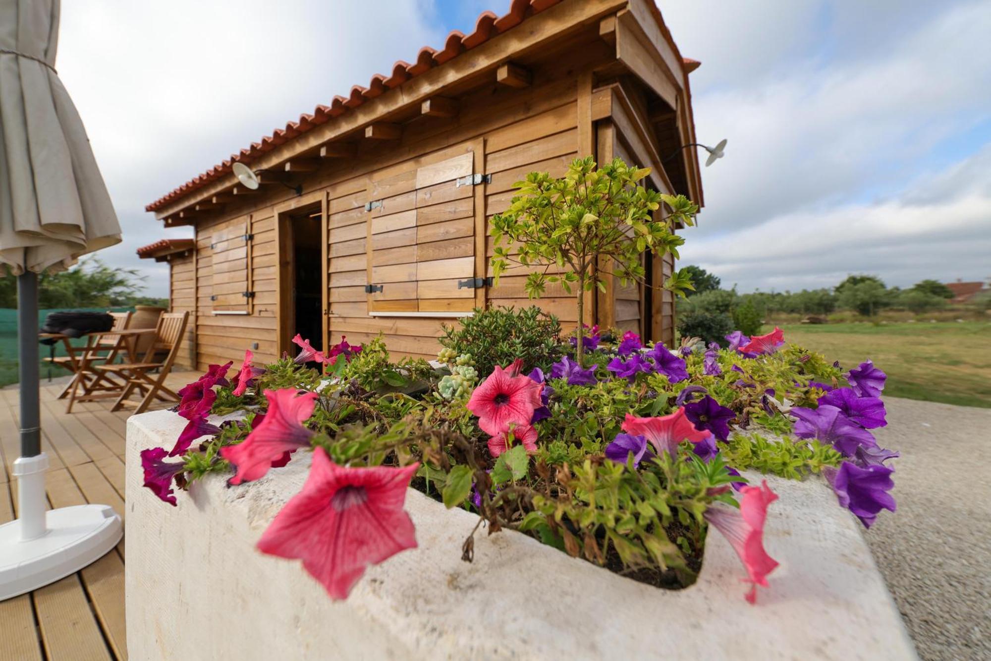 Renovated Wine Press House - With Pool Villa Porto de Mós Стая снимка